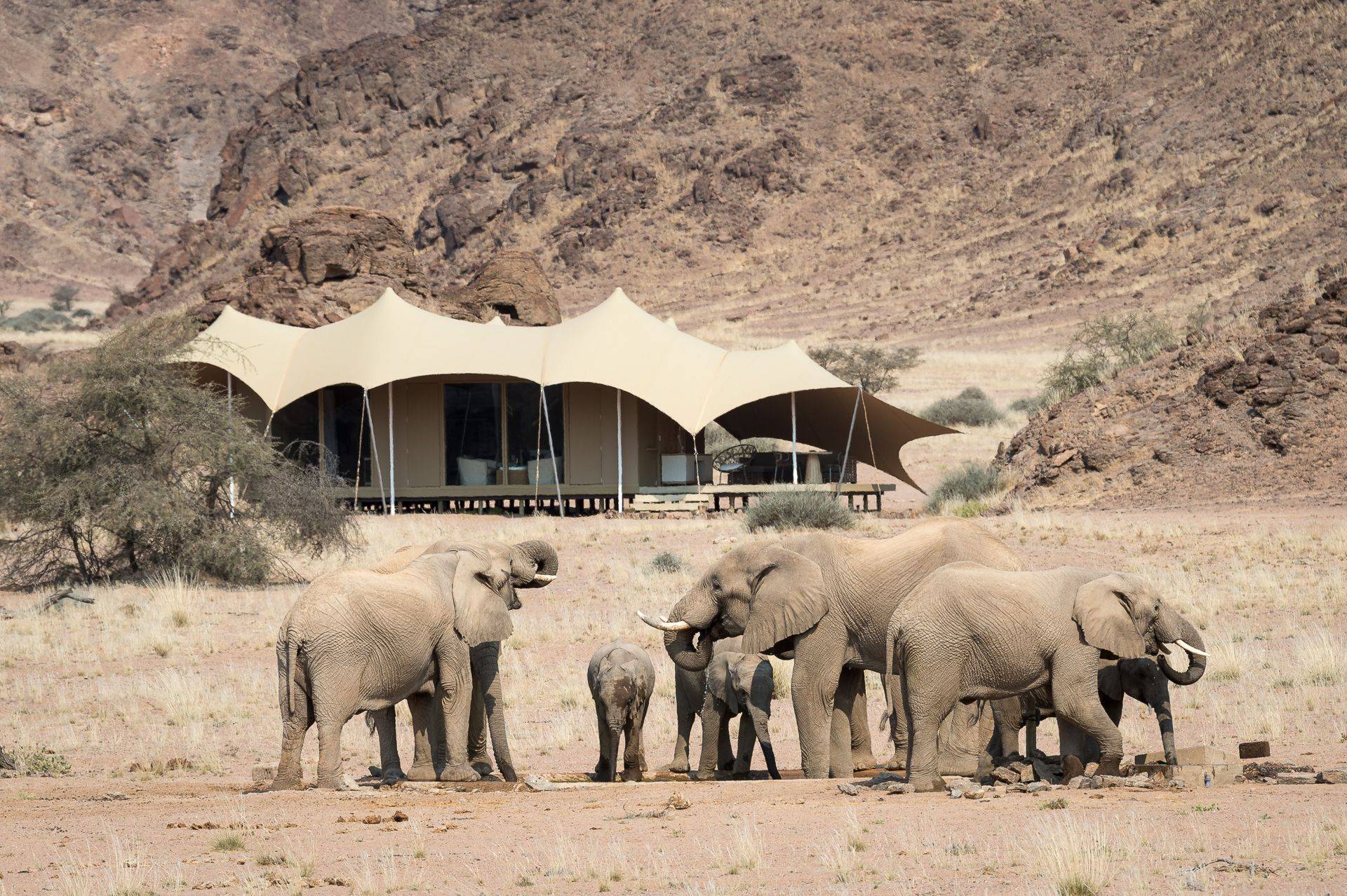 Wilderness Safaris Hoanib Skeleton Coast Camp .jpeg